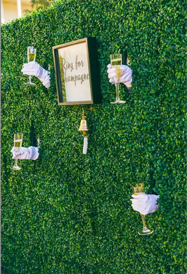 Living Champagne Wall